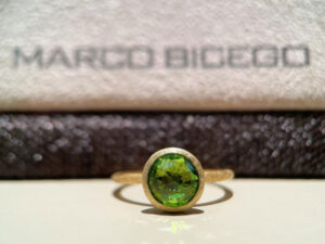MARCO BICEGO